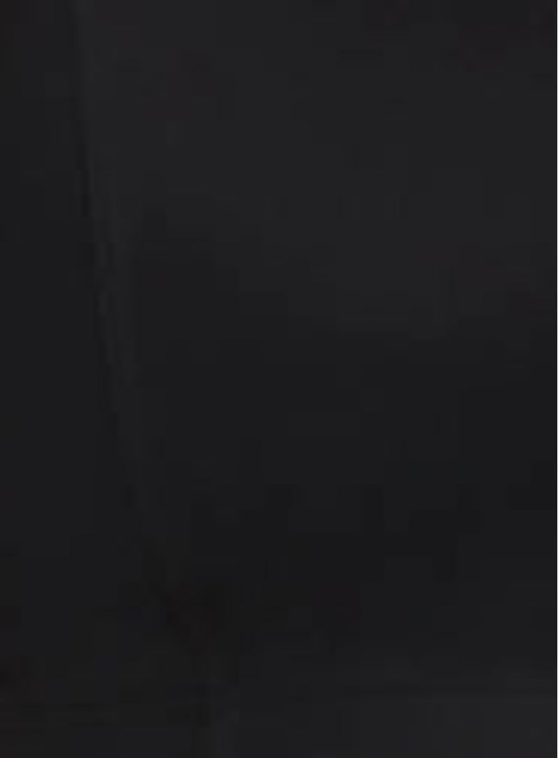 Artesands: Sculpt Michaelangelo Bike Pant Black