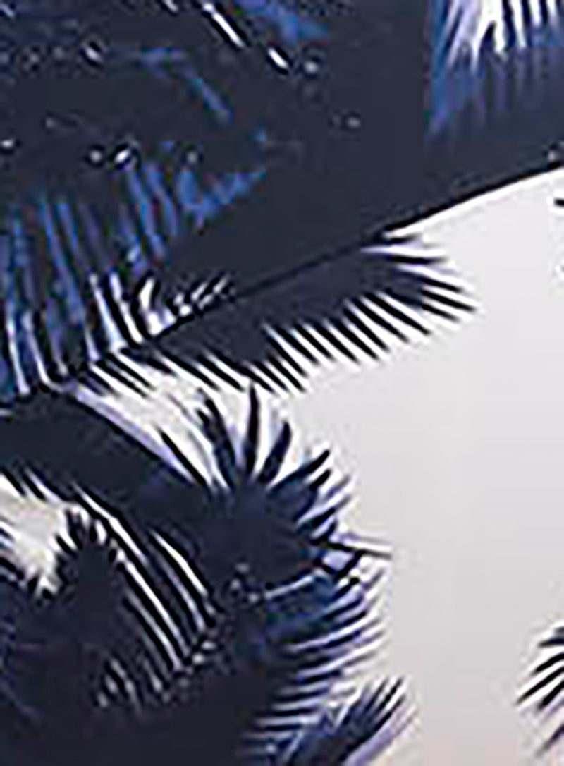 Fantasie Swimwear: Carmelita Avenue Underwired One Piece With Adjustable Leg French Navy