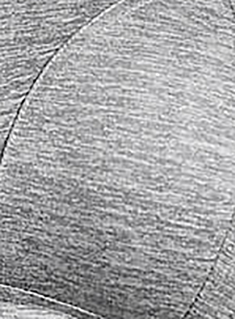 Panache Sport: Moulded Non Wired Sports Bra Charcoal Marl