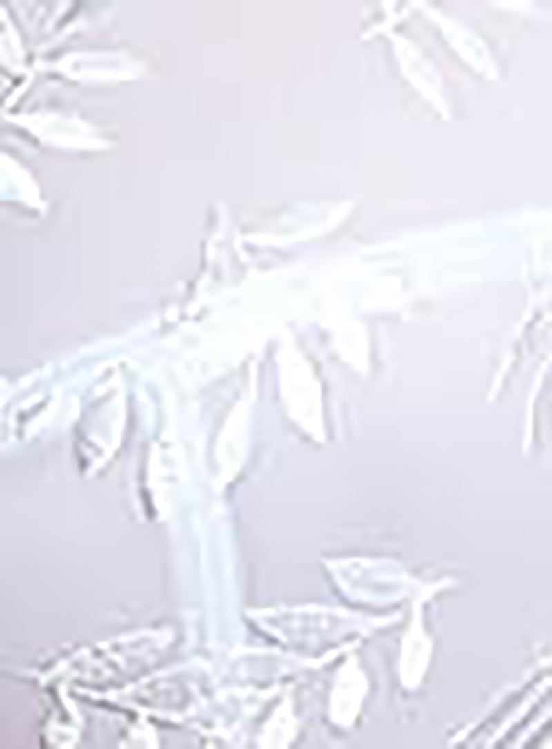 Panache: Tango II Bra White