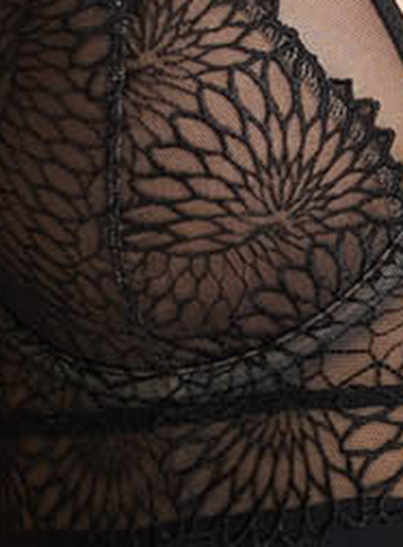 Prima Donna: Sophora Full Cup Bra Black