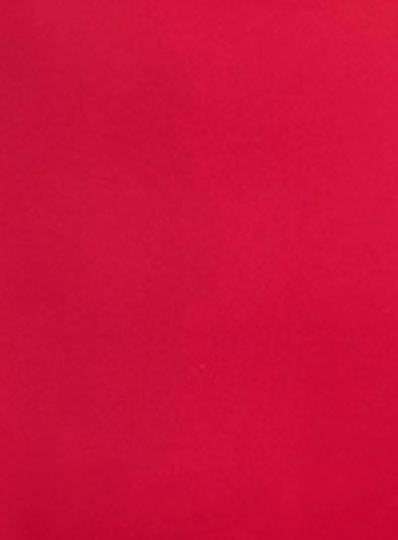 Sea Level: Eco Essentials Retro High Waist Bikini Pant Red