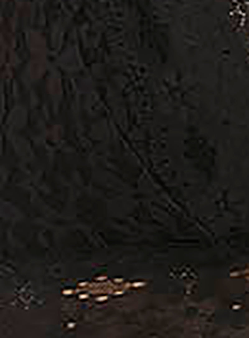 Wacoal: Halo Lace Bikini Brief Black