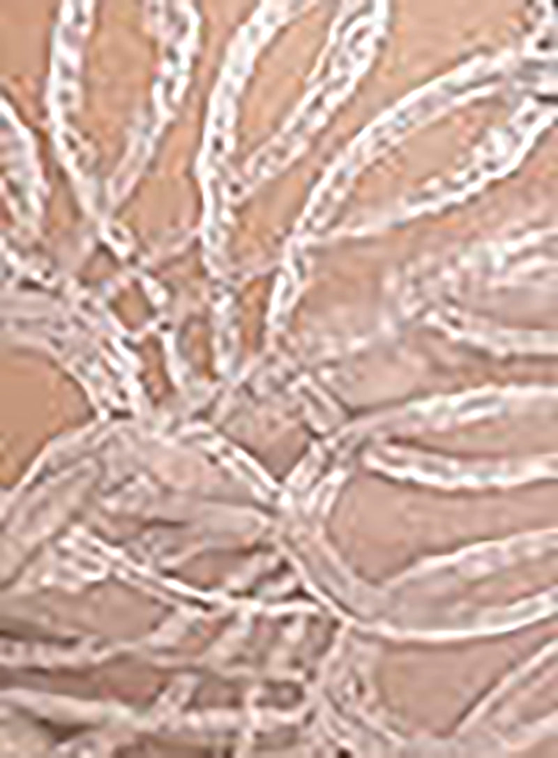 Wacoal: Reflexion Underwire Balcony Bra Beige Soiree